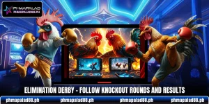 Elimination Derby - Follow Knockout Rounds And Results
